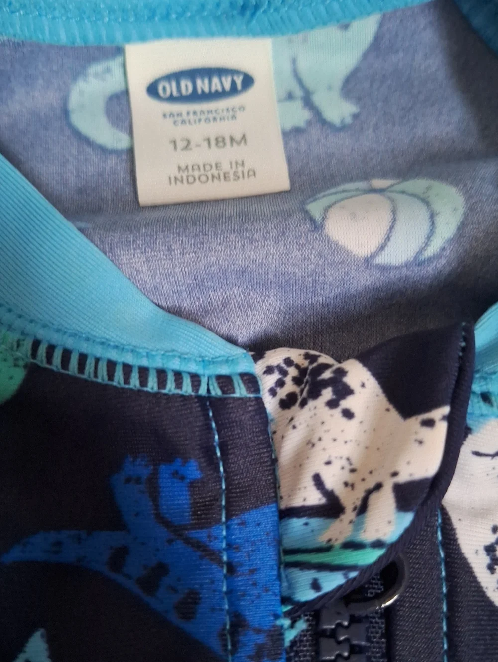 Toddler Boy Swimsuit
